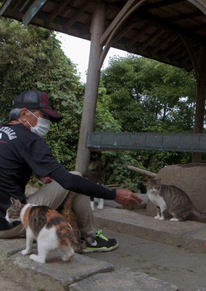 Die Katzen vom Gokogu-Schrein - Gokogu no Neko